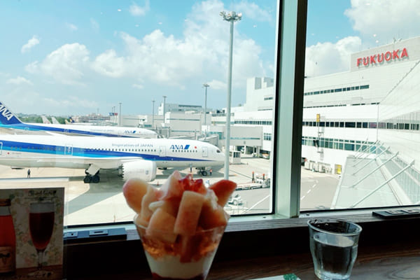 S.A（2017年入社）